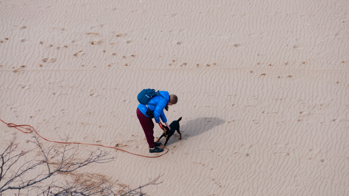 Кинолог объяснил, почему собака может толкать хозяина носом