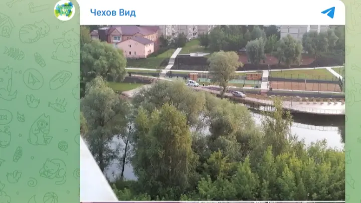 Пьяный водитель припарковался на пешеходном мосту в Подмосковье