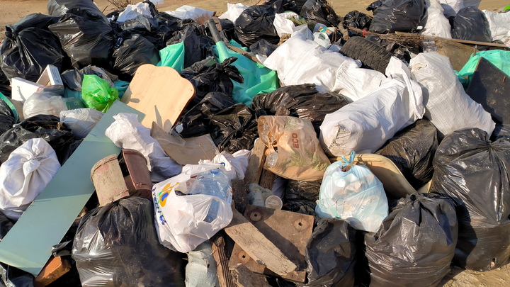 В выходные под Владимиром пройдёт эко-субботник с раздельным собиранием мусора