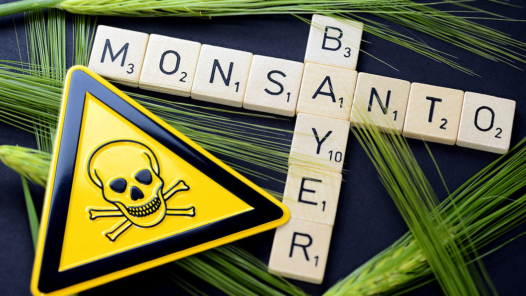 Решение ФАС о слиянии Bayer и Monsanto уничтожит российский агропром