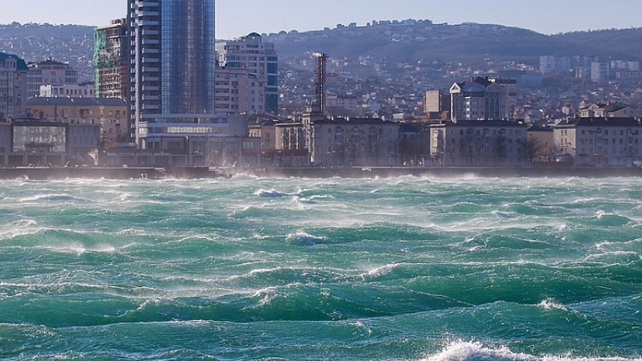 В Новороссийске предупредили об усилении ветра до 25 метров в секунду