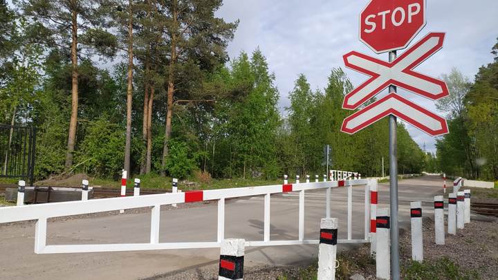 Запорожскую область принудительно покинула нарушительница общественного порядка