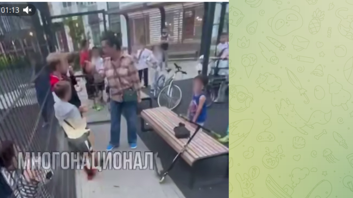 Мигрантка в Новой Москве избила местного ребенка и послала его откуда приехал