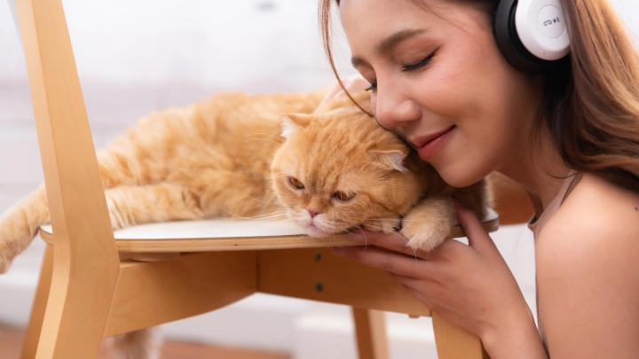 Стерилизацию и вакцинацию будут поощрять: Правительство России готовит законы для владельцев домашних животных