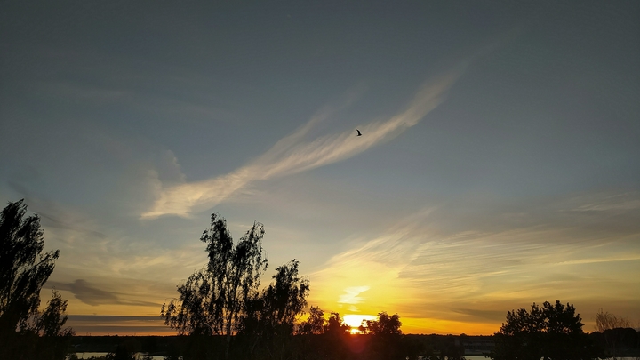 Погода в Ростове-на-Дону 14 сентября 2021: жара и дождь