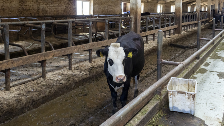 ВСУ хотят вызвать голод на Запорожье – Рогов