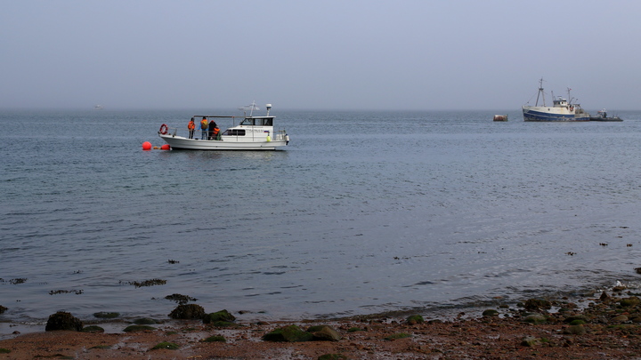 Стала известна причина повреждения танкера в Керченском проливе