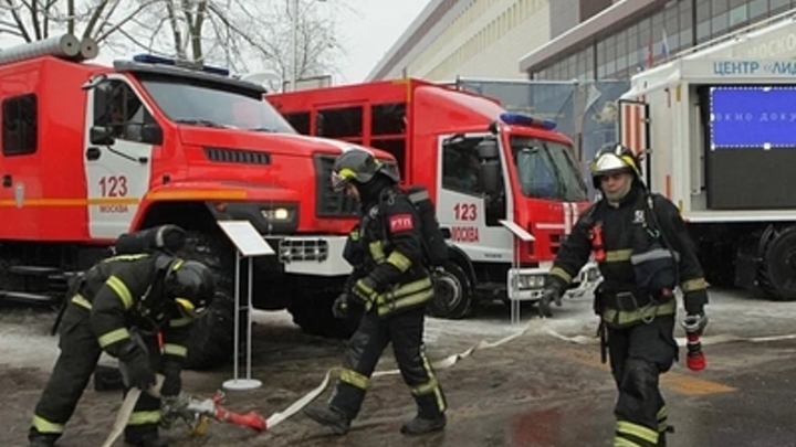 Вернули с того света: В Подмосковье чудом спасли лосиху. Операция попала на видео