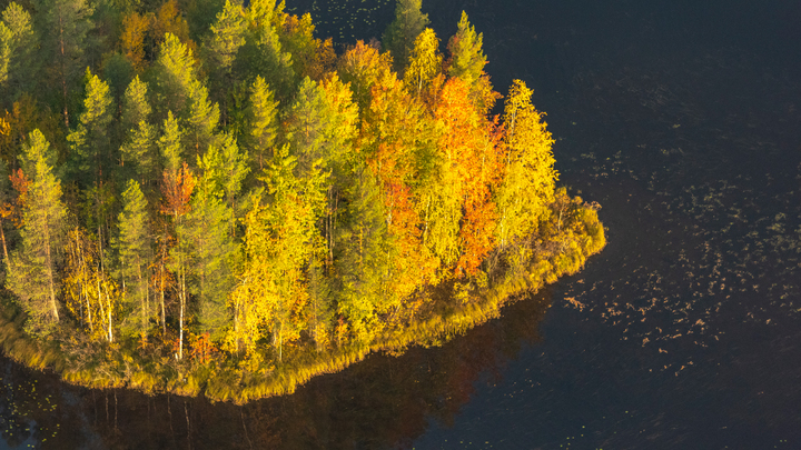 Русский Север не нужен? Дискуссия о скандальной идее агломераций на ПМЭФ - онлайн-трансляция