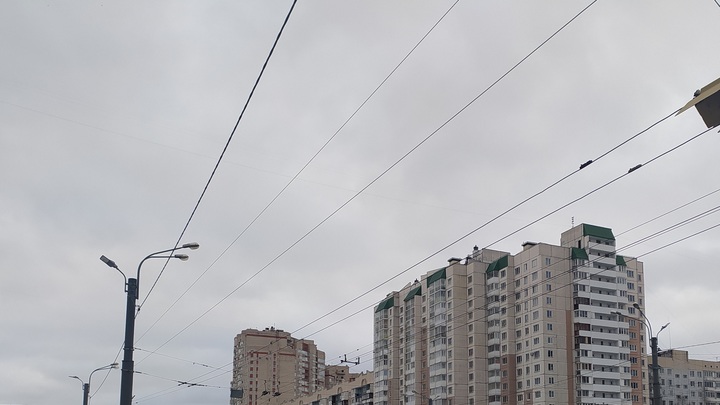 Провода уберут по землю вдоль парка Швейцария и на улице Родионова в Нижнем Новгороде
