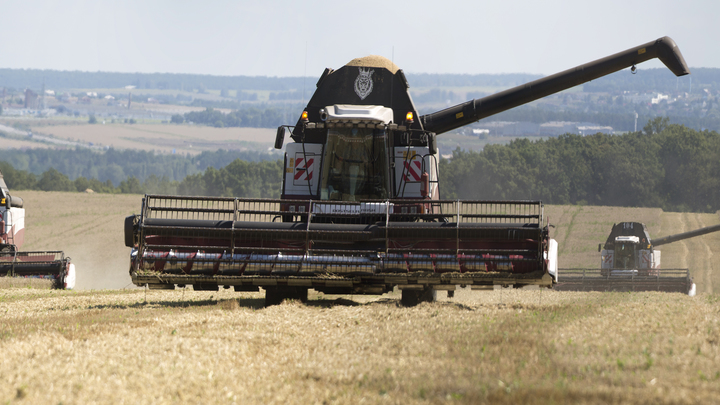 Венгрия и Словакия вслед за Польшей введут ограничения на ввоз зерна из Украины