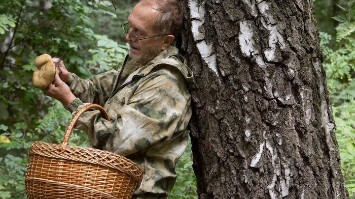 Погода в Москве резко изменилась: Грибников ждёт необычный октябрь