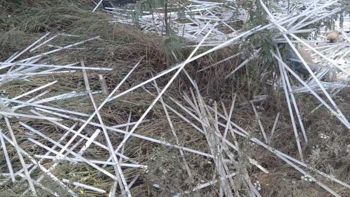 В Краснодаре ликвидировали незаконную свалку люминесцентных ламп