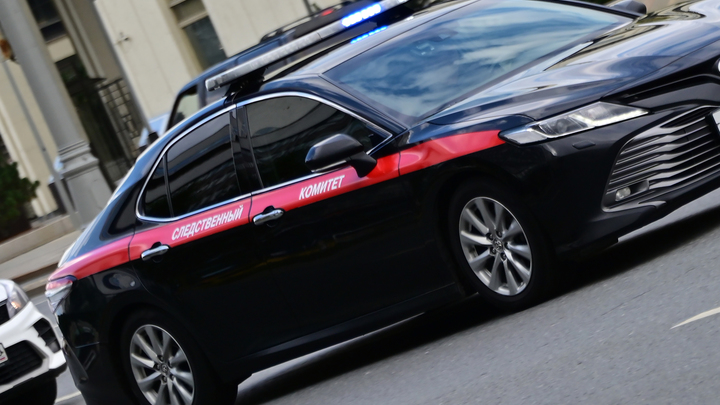 На 40% увеличилось число изнасилований: Бастрыкин в цифрах показал проблему с мигрантами