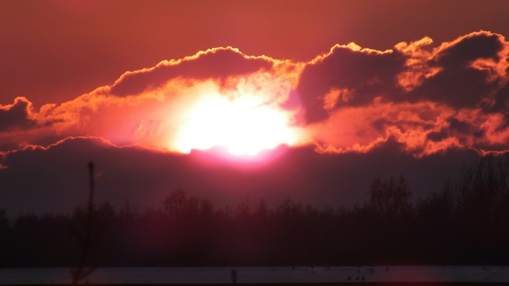 Ученые рассказали, вызовет ли магнитную бурю новая вспышка на Солнце