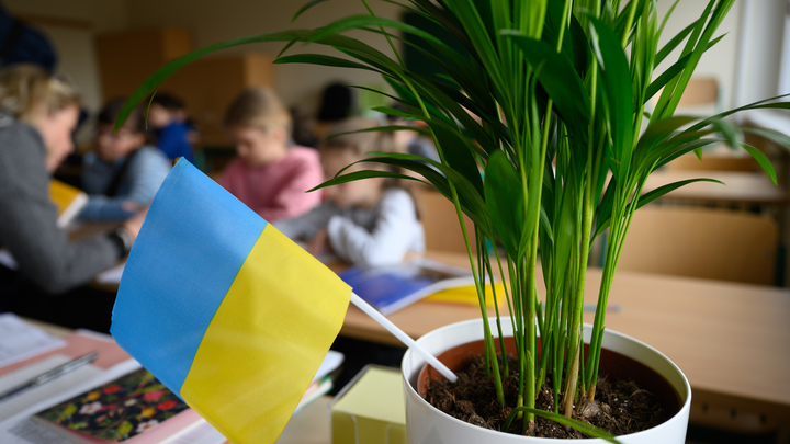 Дети беженцев с Украины устроили травлю учительнице с русскими корнями в Дании