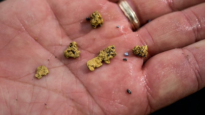 В телефоне и шампуне: золотой песок из России нашли на границе с Китаем