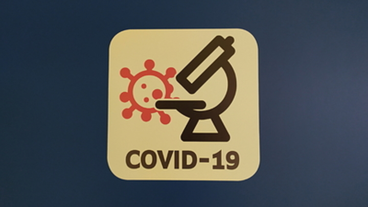Показатель коллективного иммунитета к COVID-19 в Новосибирской области упал до 13%