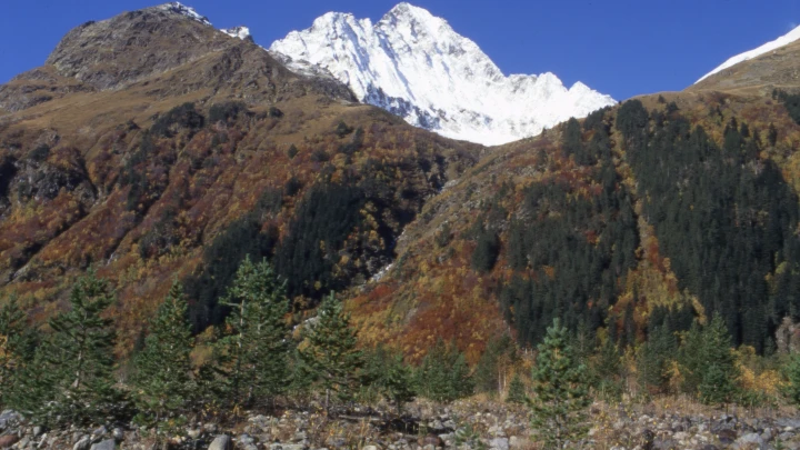 Протест против СВО и призывы отделить Адыгею: В России стартуют масштабные проверки в кавказских вузах