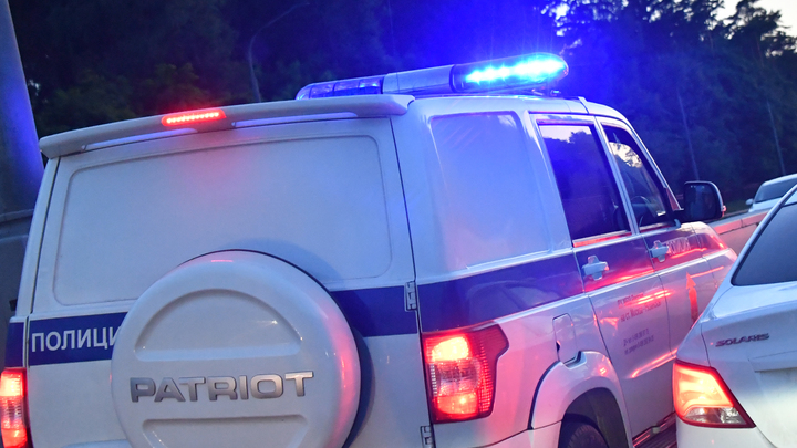 В Свердловской области водитель легковушки погиб, врезавшись в лося