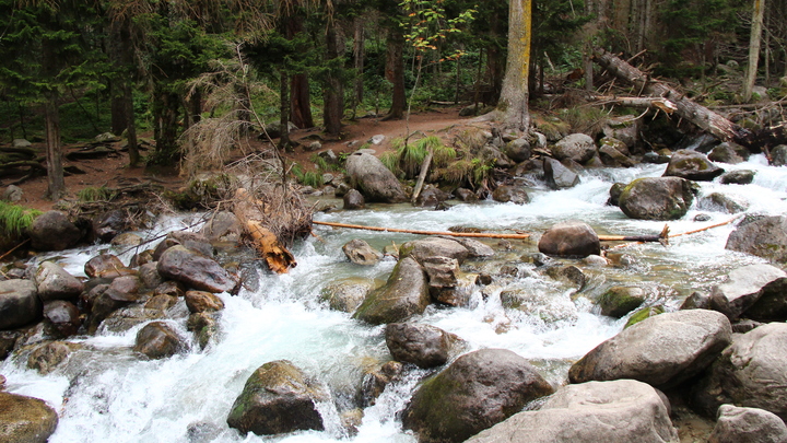 Хотели посмотреть птиц: В Финляндии задержали трёх французов, прогулявшихся в России