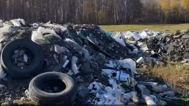 Незаконная свалка с отходами повышенного класса опасности выросла под окнами челябинцев