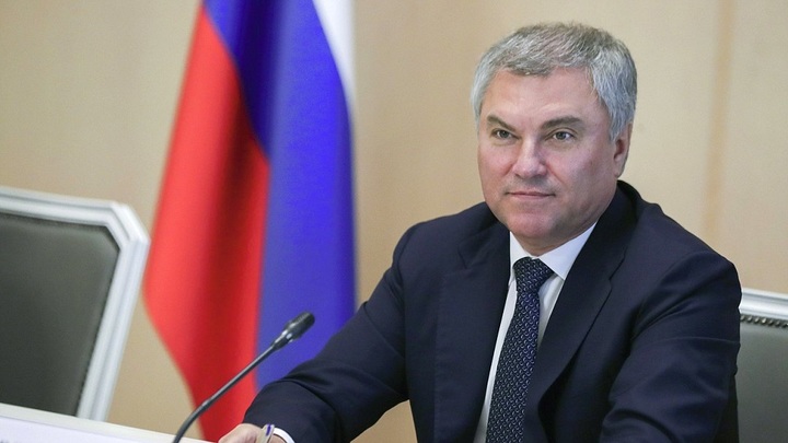 Всё профукали и разворовали: Володин ответил на требование Киева активов СССР