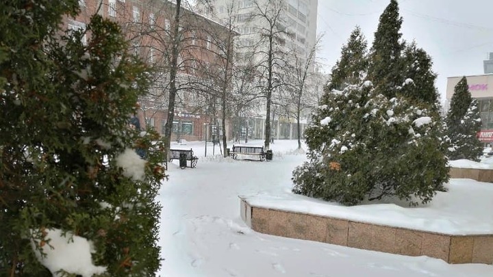 Для старых новогодних елок в Челябинске нашли место