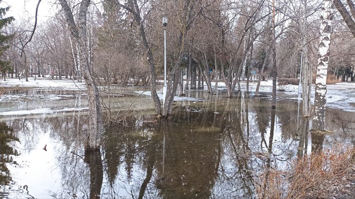 Дождь, ветер и до +12 прогнозируют синоптики 1 апреля в Кузбассе