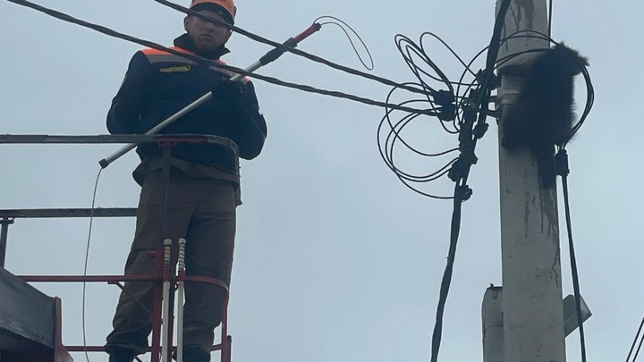 Держите меня семеро!. Поселившийся на опоре ЛЭП енот-бунтарь едва не напал на спасателя