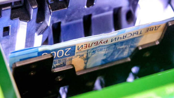 Глава института экономики УрО РАН объяснила, как Россия будет жить в кризис