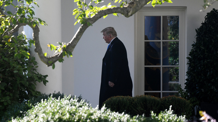 Да, нет, наверное: Трамп выдал целый набор ответов на вопрос об «отравителе Путине»