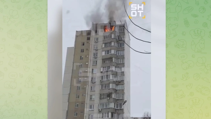 Люди кричат о помощи из заблокированной огнём квартиры на 17-м этаже в Москве