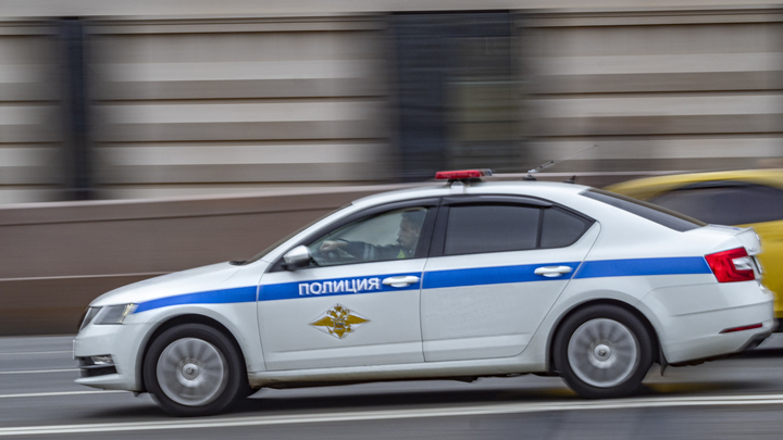 В Колпино на дне реки обнаружена сумка с расчленённым телом