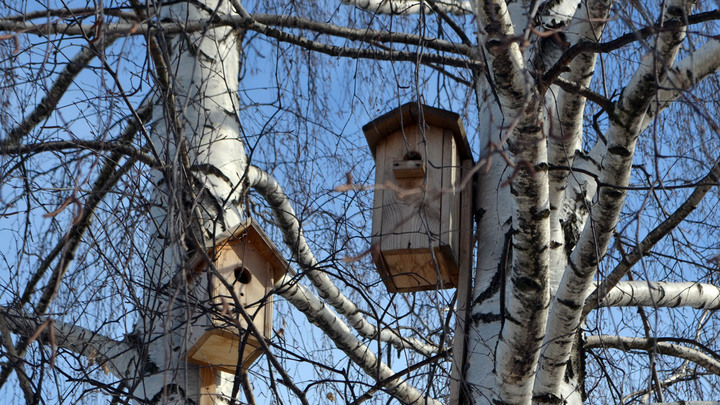 Народные приметы на Алексея Тёплого 30 марта: пора пускать кораблики и идти на охоту