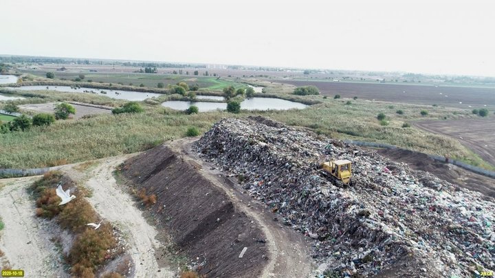 Тайна, покрытая мусором: экологи бьют тревогу из-за свалки под Краснодаром