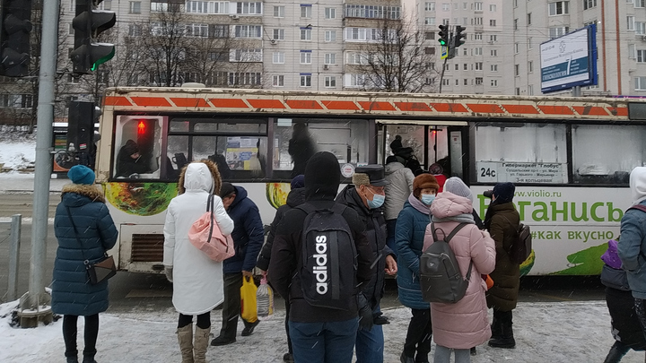 Почему транспортная схема Владимира - плохая, а новый автобус до Пиганово не нужен