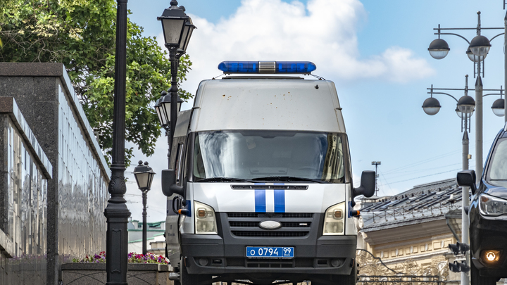 Спускать на тормозах нельзя: Малофеев о наказании для крышующих мигрантов