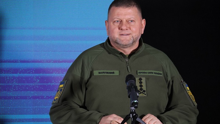 Потом отвоюем: Залужный допустил поражение ВСУ под Авдеевкой