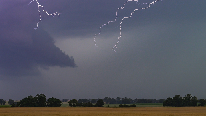 Ураган разбушевался: В Петербурге мощным ветром снесло кран и десятки деревьев