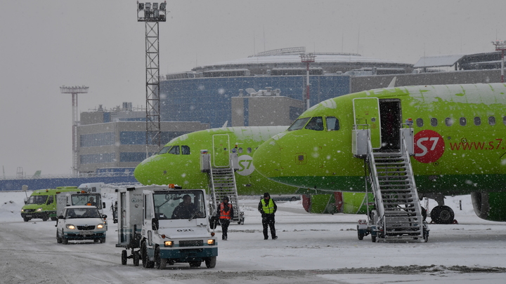 Дебошир выбежал на взлетную полосу из самолета в Домодедово