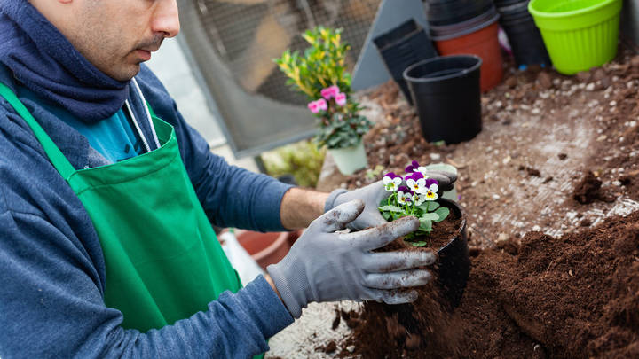 Могут убить: Малышева назвала три самых опасных комнатных растения