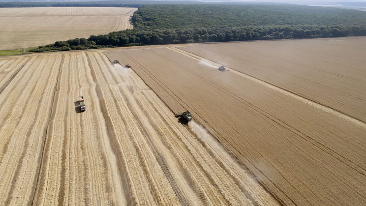 Сельхозугодья Московской области расширились на тысяч 14 гектаров