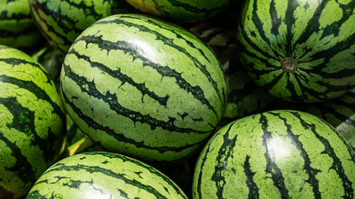 Массовое отравление туристов из России в Египте: арбузы исчезли из меню