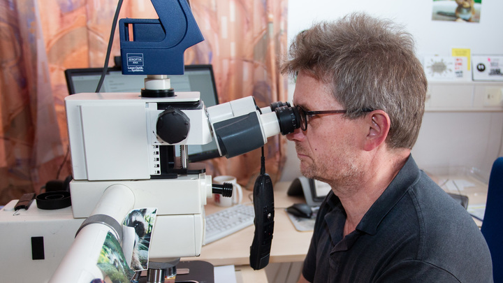 Учёные выдали новую версию появления коронавируса: Назван человек, ставший инкубатором для COVID