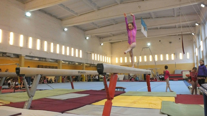 За 5 золотых медалей можно…: почему родители ополчились на педагога из Мурино