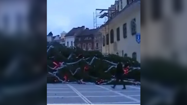 Появилось видео с падением самой большой рождественской ели в Румынии