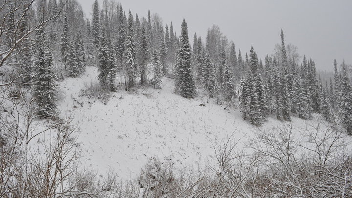 Туристка из Красноярска умерла на отдыхе в Туве