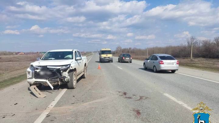 В Самарской области пони погибли под колесами иномарки