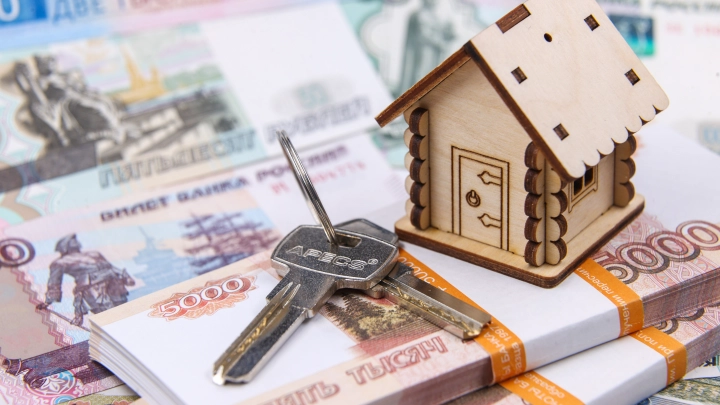 В Госдуме предложили способы противодействия махинациям по схеме Долиной